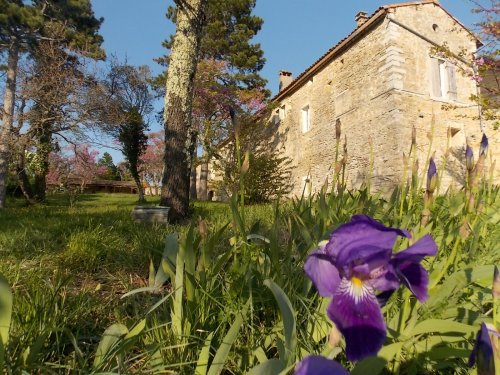 Chambre d'hôtes Séjournez à La Chadenède et découvrez toutes les richesses du Sud Ardèche