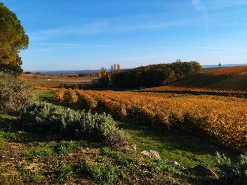 Chambre d'hôtes Fleurs de Cosmos