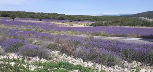 Chambre d'hôtes Séjournez à La Chadenède et découvrez toutes les richesses du Sud Ardèche