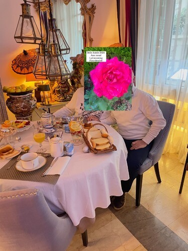 Chambre d'hôtes La Cocooning, chambre d'hôtes de charme au coeur de Nice