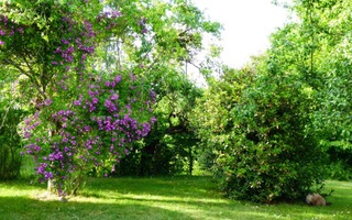 Chambre d'hôtes Le Hérisson Bleu